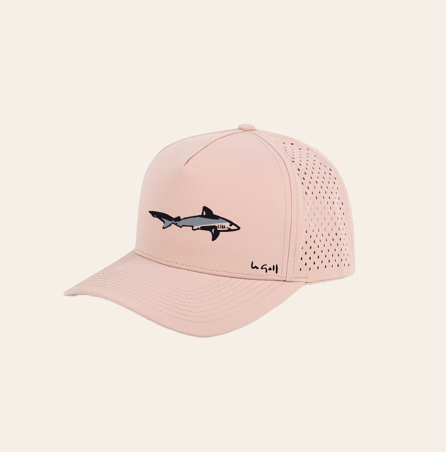 Lasercut requin pinceau