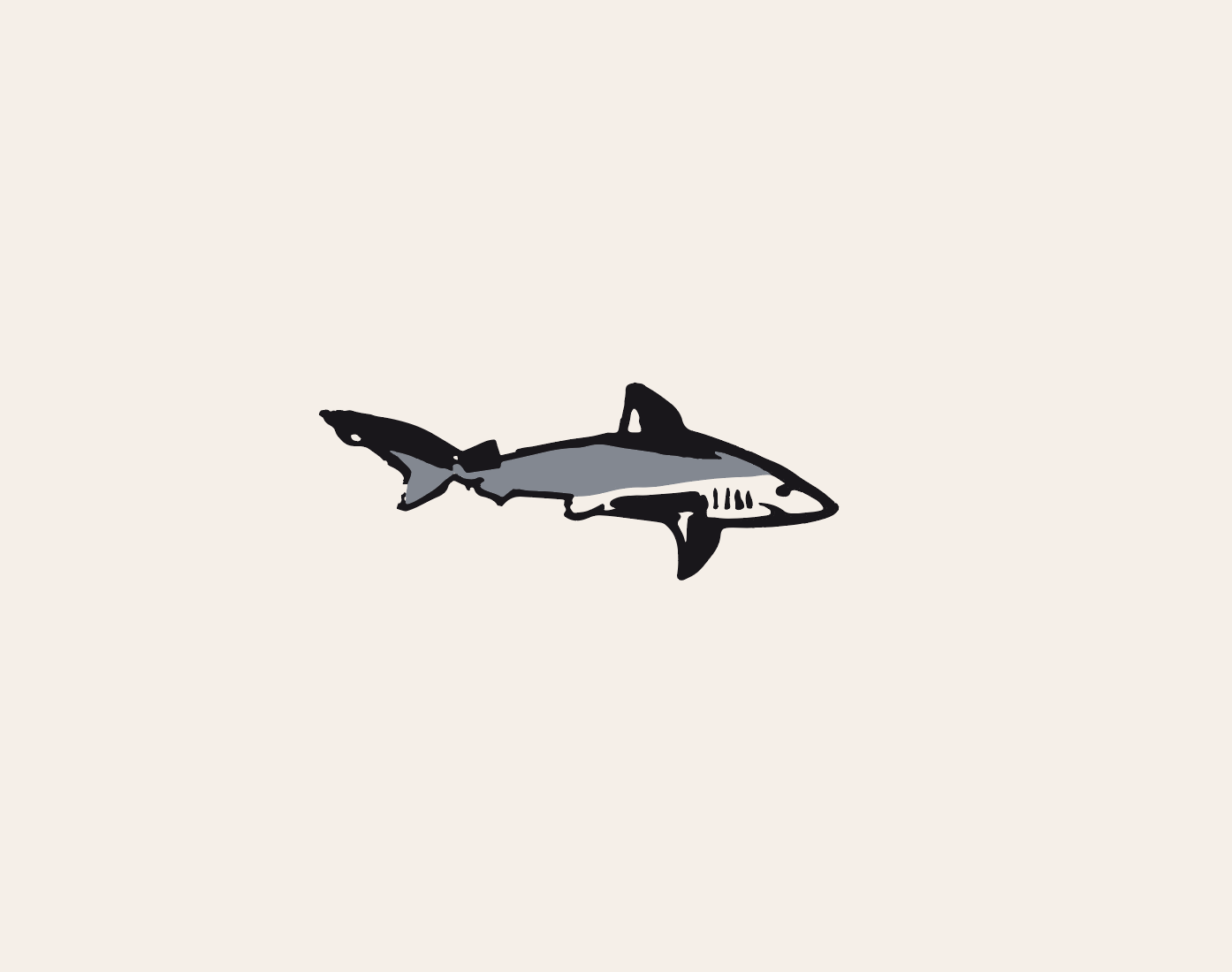 Lasercut requin pinceau